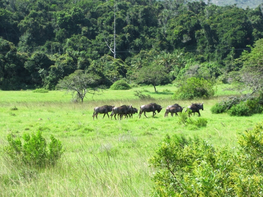 Commercial Property for Sale in Port Alfred Rural Eastern Cape